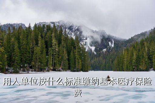 用人單位按什么標準繳納基本醫(yī)療保險費