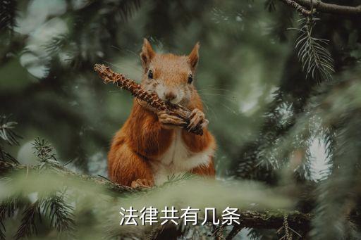 法律條文，法律共有幾條