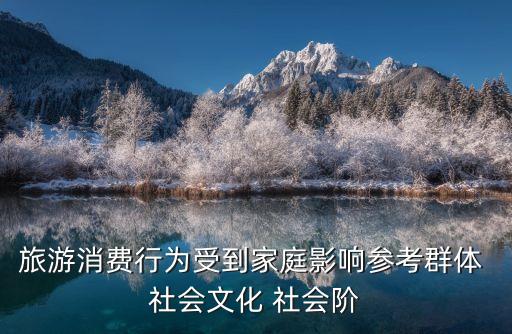 旅游消費行為受到家庭影響參考群體 社會文化 社會階