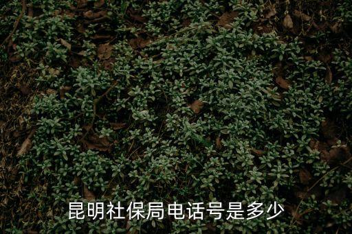 社保局咨詢電話，社保的咨詢電話是什么