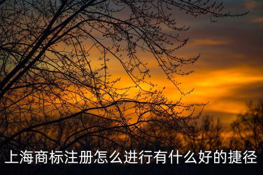 上海商標(biāo)注冊(cè)，在上海如何自己申請(qǐng)注冊(cè)商標(biāo)