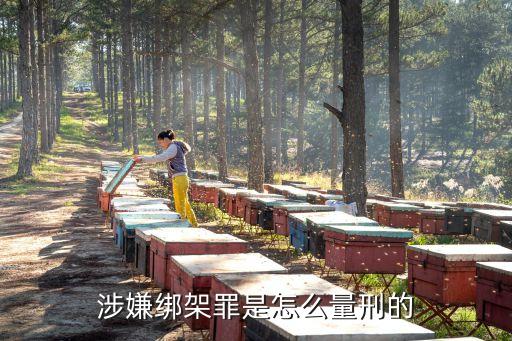 涉嫌綁架罪是怎么量刑的