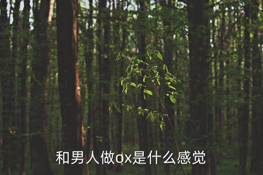 和男人做ox是什么感覺