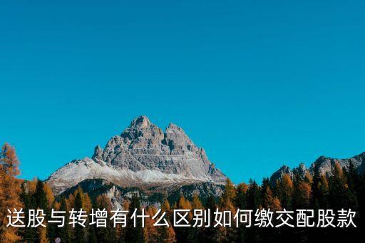 送股與轉(zhuǎn)增有什么區(qū)別如何繳交配股款