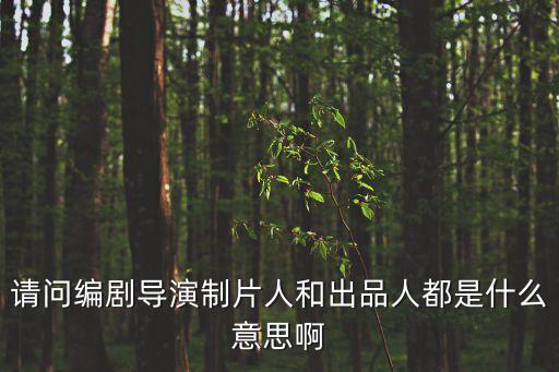 請(qǐng)問(wèn)編劇導(dǎo)演制片人和出品人都是什么意思啊