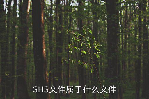 GHS文件屬于什么文件