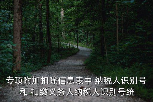 專項附加扣除信息表中 納稅人識別號 和 扣繳義務(wù)人納稅人識別號統(tǒng)