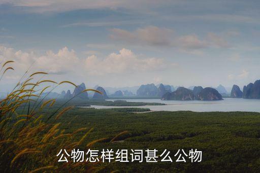 公物怎樣組詞甚么公物