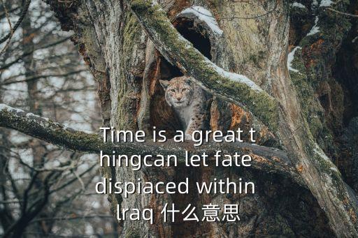 Time is a great thingcan let fate dispiaced within lraq 什么意思