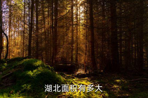 湖北面積有多大