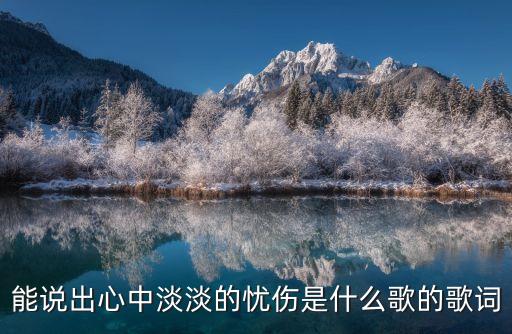 能說(shuō)出心中淡淡的憂傷是什么歌的歌詞