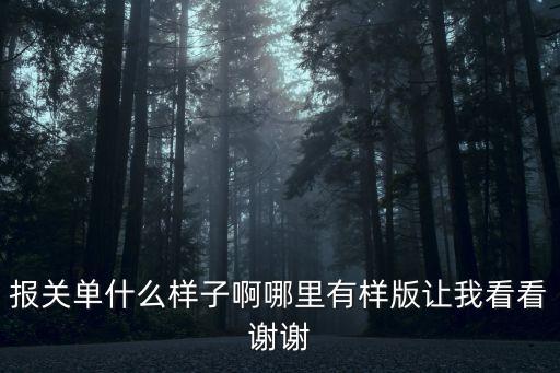 報關單模板，提供進口報關單樣板