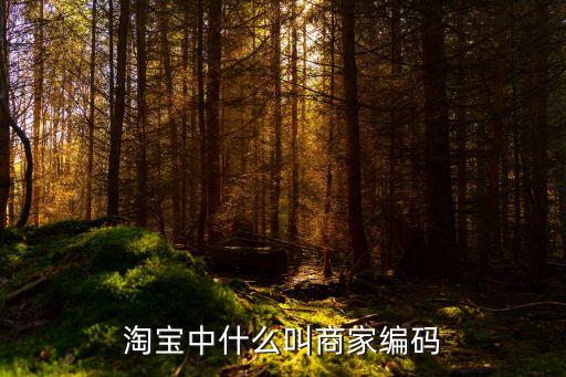 淘寶中什么叫商家編碼