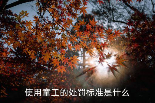 使用童工，使用童工的處罰標(biāo)準(zhǔn)是什么