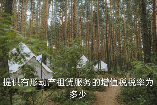 有形動產租賃稅率，提供有形動產租賃服務的增值稅稅率為多少