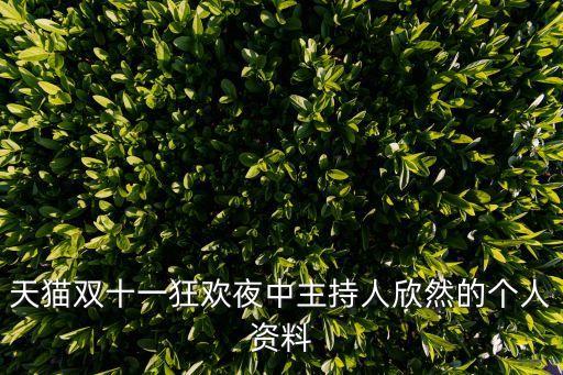 天貓雙十一狂歡夜中主持人欣然的個人資料