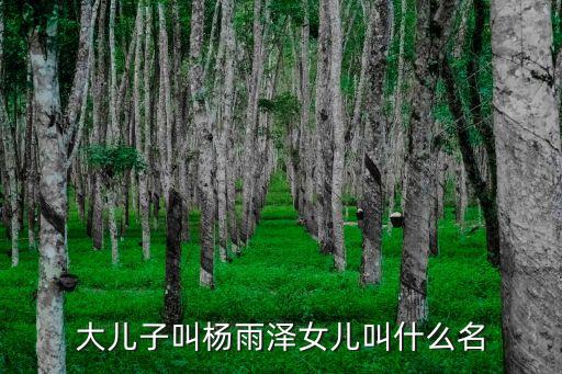 楊雨露，廣西省百佳惠超市老板是誰