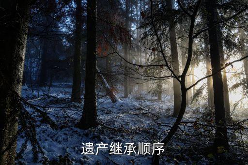 繼承順序，法定繼承人的繼承順序