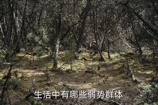 生活中有哪些弱勢群體