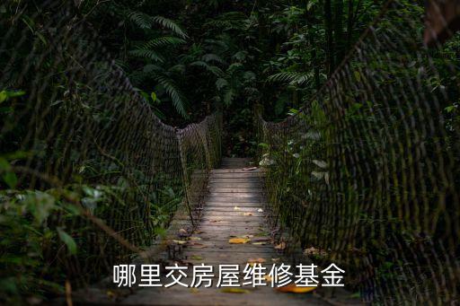 哪里交房屋維修基金