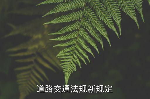 道路交通法規(guī)新規(guī)定