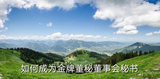 如何成為金牌董秘董事會(huì)秘書(shū)