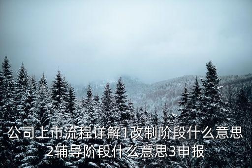 公司上市流程詳解1改制階段什么意思2輔導(dǎo)階段什么意思3申報(bào)