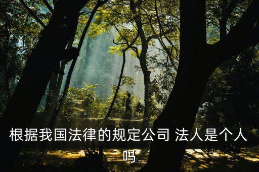 法人是人嗎,公司法人是人嗎