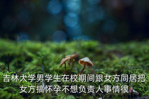 吉林大學(xué)男學(xué)生在校期間跟女方同居把女方搞懷孕不想負(fù)責(zé)人事情很