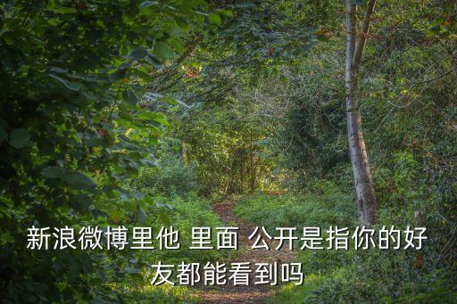 公開的意思，public是什么中文意思