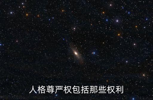 人格尊嚴(yán)權(quán)包括那些權(quán)利
