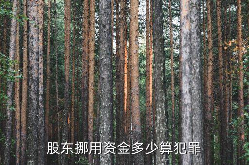挪用資金罪的立案標(biāo)準(zhǔn)，挪用資金罪