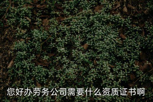 您好辦勞務公司需要什么資質證書啊