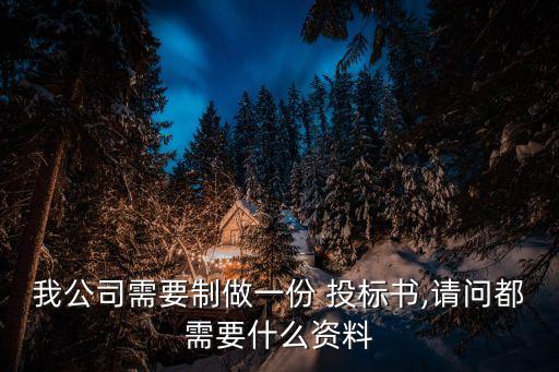 我公司需要制做一份 投標(biāo)書,請問都需要什么資料