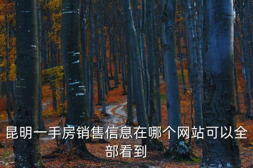 一手房，昆明一手房銷售信息在哪個(gè)網(wǎng)站可以全部看到
