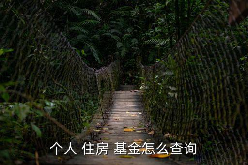 個(gè)人 住房 基金怎么查詢