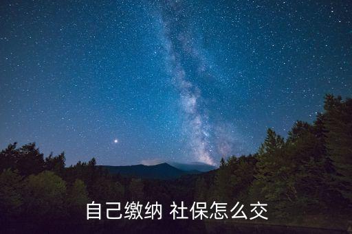 個人怎么給自己交社保,農村戶口個人怎么給自己交社保