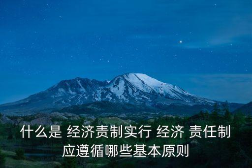 什么是 經(jīng)濟責制實行 經(jīng)濟 責任制應(yīng)遵循哪些基本原則