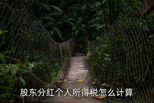 分紅個人所得稅，股東分紅個人所得稅怎么計算