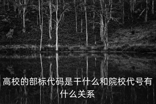 部標(biāo)，高校的部標(biāo)代碼是干什么和院校代號(hào)有什么關(guān)系