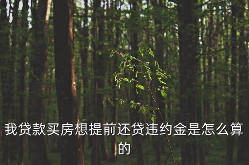我貸款買房想提前還貸違約金是怎么算的