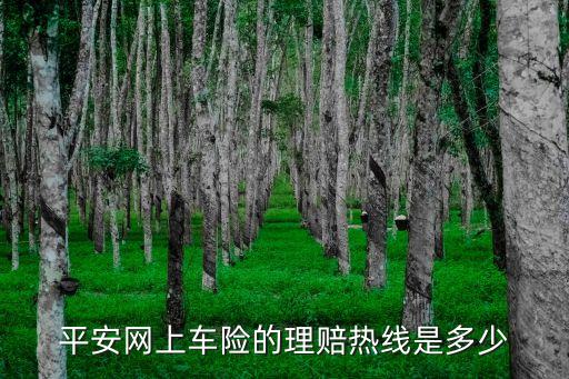 平安網(wǎng)上車險(xiǎn)的理賠熱線是多少