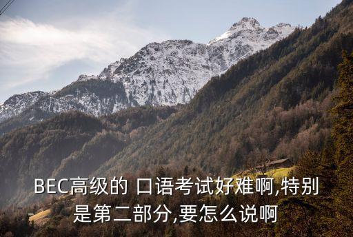 商務(wù)英語口語教程