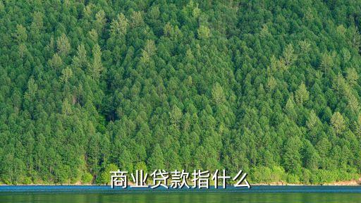 商業(yè)貸款指什么