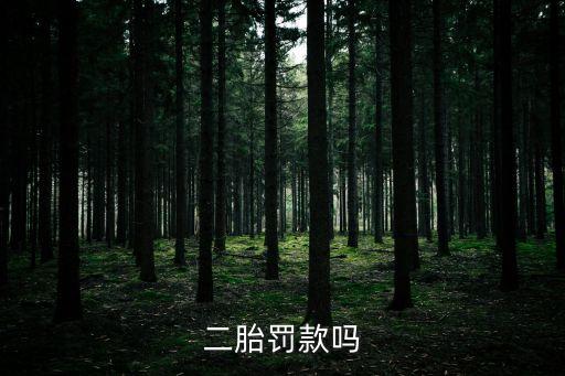 二胎罰款嗎