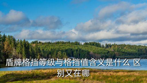 盾牌格擋等級與格擋值含義是什么 區(qū)別又在哪