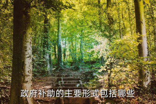 政府補(bǔ)助的主要形式包括哪些