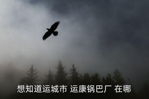 運(yùn)康鍋巴，運(yùn)康鍋巴 幾元一袋
