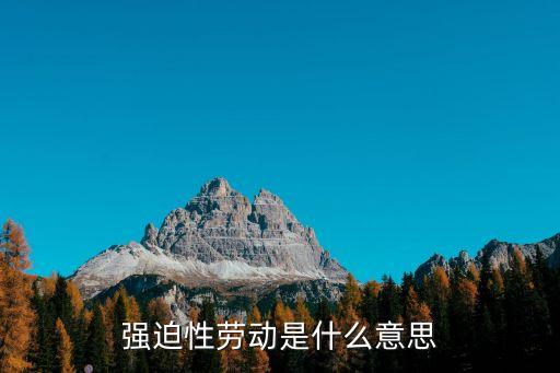 強迫性勞動是什么意思