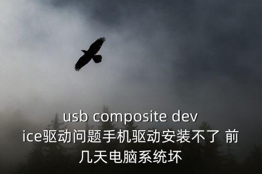 usb composite device驅(qū)動(dòng)問題手機(jī)驅(qū)動(dòng)安裝不了 前幾天電腦系統(tǒng)壞